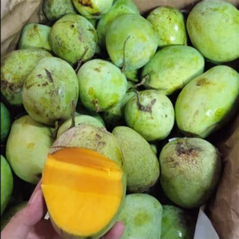 Jual Mangga Cengkir Manis Special Bali 1 Kg Shopee Indonesia