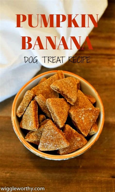 Homemade Pumpkin Banana Dog Treats Recipe Dog Treat Recipes Banana