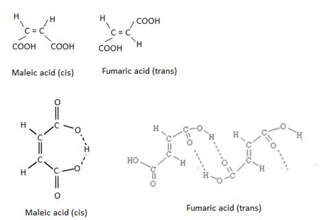 Maleic Acid Intramolecular Hydrogen Bonding