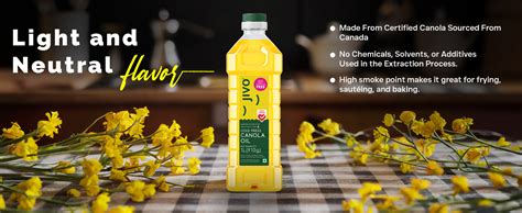 Jivo Canola Cold Pressed Edible Oil Litres With Litre Premium