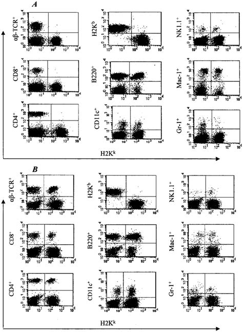 Detection Of Donor And Host Derived Cells Of Lymphoid And Myeloid