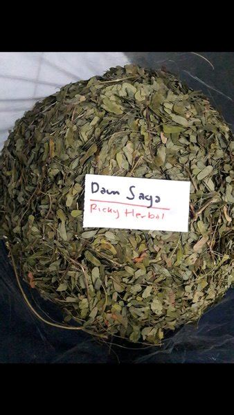 Jual Daun Saga Kering 500 Gram Di Lapak Ricky Indra Kusuma Bukalapak