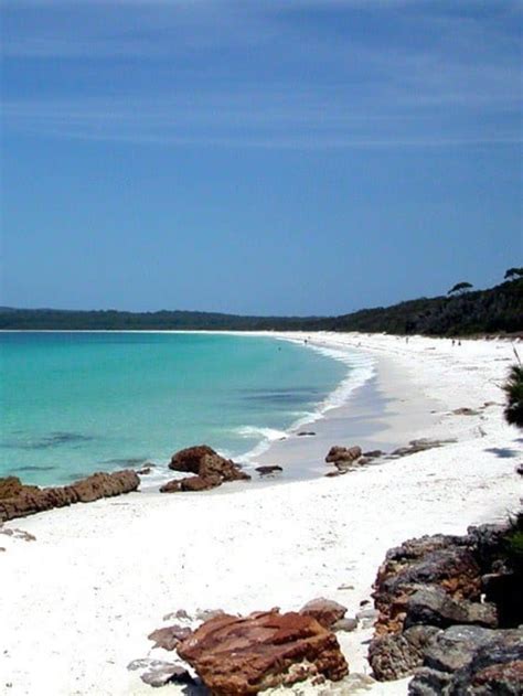 15 BEST BEACHES IN SOUTH COAST NSW, AUSTRALIA STORY - Y Travel Blog