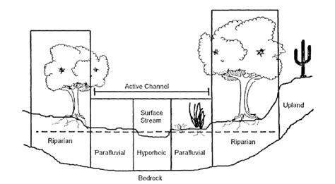 Diagram of the four interacting zones of a desert stream ecosystem: the... | Download Scientific ...