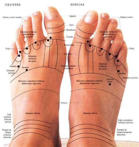 Reflexolog A Podal Pie Delante Barcelona Alternativa