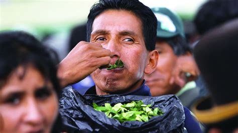 Se incrementan los casos de cáncer en Tarija por el boleo de coca con