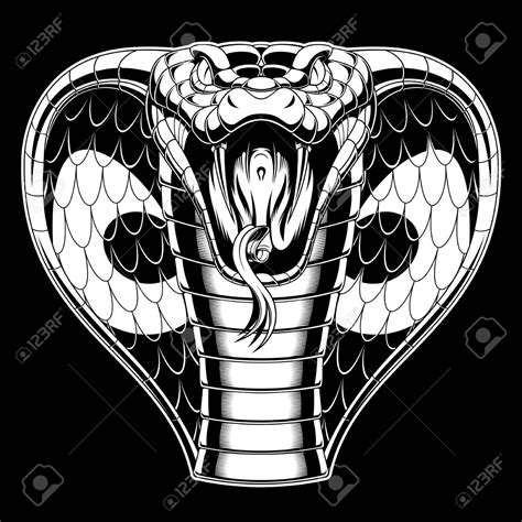 Cobra Snake Clipart Black And White Free Cobra Cliparts Black