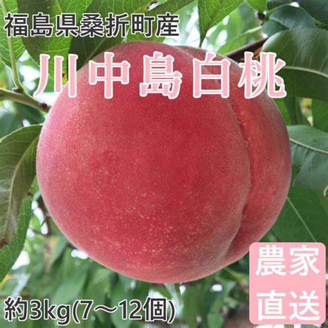 桃 川中島白桃 3kg7〜12個 福島桑折町産 通常品 8月上旬 8月中旬お届け Mm Kw A 3福島桑折町 亀岡果樹園 通販