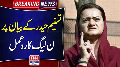 Maryam Aurangzeb Reaction Over Tasneem Haider Statement Pnn News