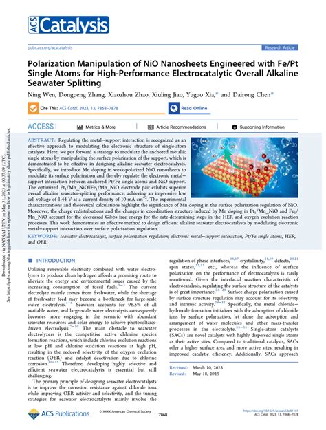 Pdf Polarization Manipulation Of Nio Nanosheets Engineered With Fe Pt