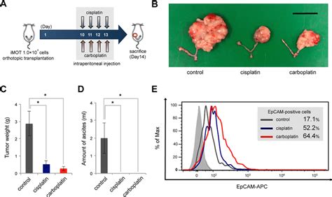 Epcam Positive Ovarian Cancer Cells Are Correlated With Tumor