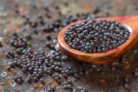 Village Mustard Seeds Buy Indian Groceries Online