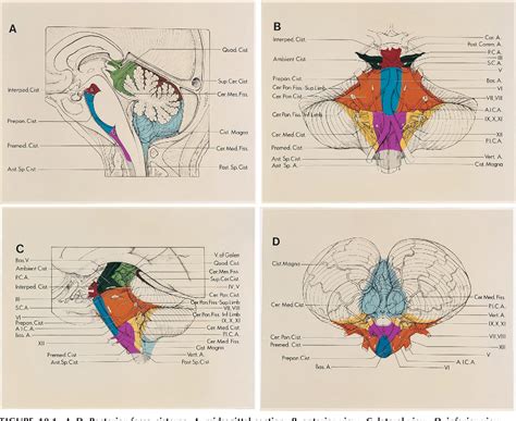 The Posterior Fossa Cisterns Semantic Scholar