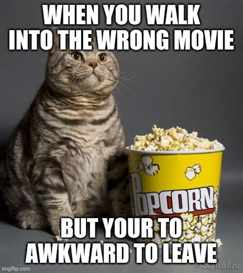 Cat eating popcorn Memes - Imgflip