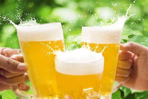 Kanpai” 5 Facts To Know About Saying Cheers In Japan Guidable