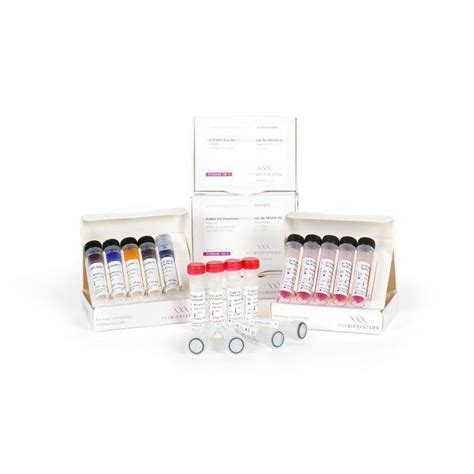 Kit De Reactivos Enzima Verifi Pcr Biosystems Ltd Adn