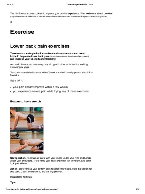 Lower Back Pain Exercises Nhs Pdf Pelvis Abdomen