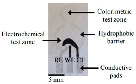 Sensors Free Full Text Cytokine And Cancer Biomarkers Detection