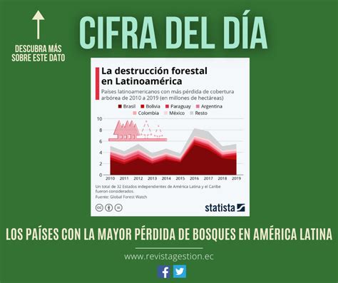 Revista Gesti N Los Pa Ses Con La Mayor P Rdida De Bosques En Am Rica