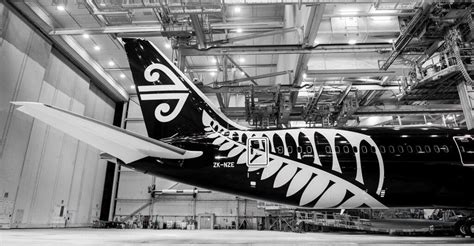 airplane art extra air  zealand boeing   economy class