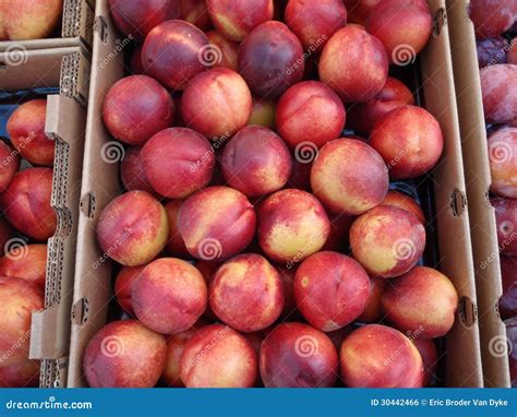 Red And Yellow Nectar Fruit In Boxes Stock Photo Image Of Gourmet