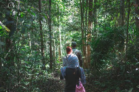 Jungle Trekking in Khao Yai National Park - The Lost Passport