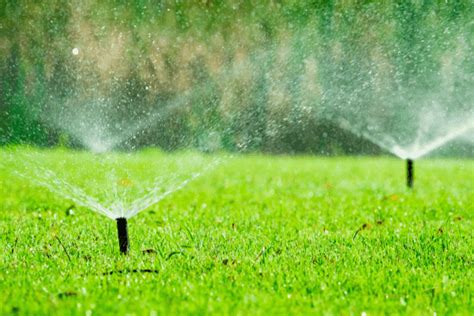 The Importance Of Proper Irrigation Tips For Efficient Watering