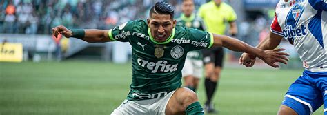 Palpite Deportivo Pereira X Palmeiras Copa Libertadores Da Am Rica