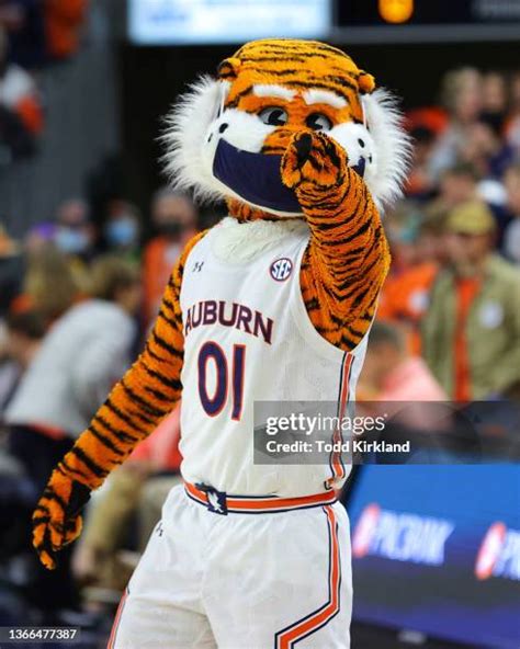 Auburn Mascot Photos and Premium High Res Pictures - Getty Images