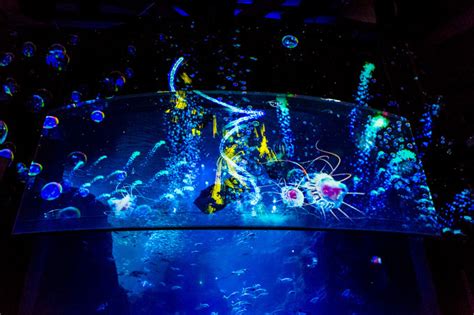 世界初！3dで体験する“夜の水族館” 新江ノ島水族館で「ナイトアクアリウム」開催 ファッションプレス