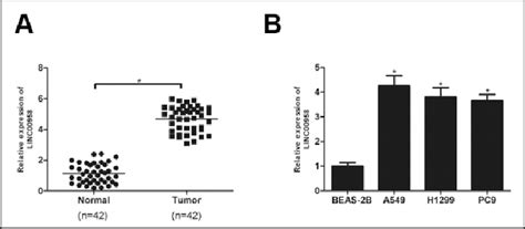 Linc00958 Is Overexpressed In Nsclc Tissues And Cell Lines A Rt Qpcr