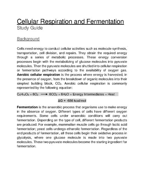 Lab Cellular Respiration And Fermentation Study Guide Cellular