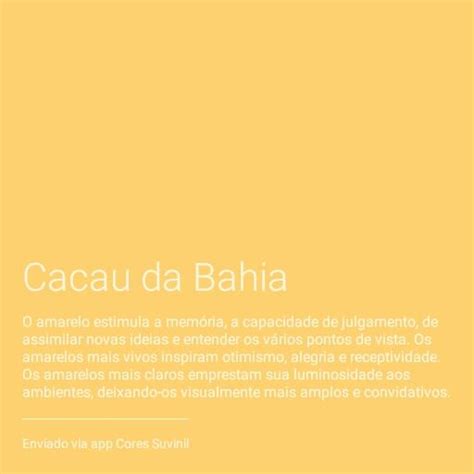 Cacau Da Bahia Suvinil Bahia Otimismo