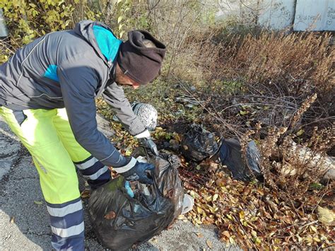 Raccolta Di Sfalci E Potature Nuova Giornata Ecologica Cronache