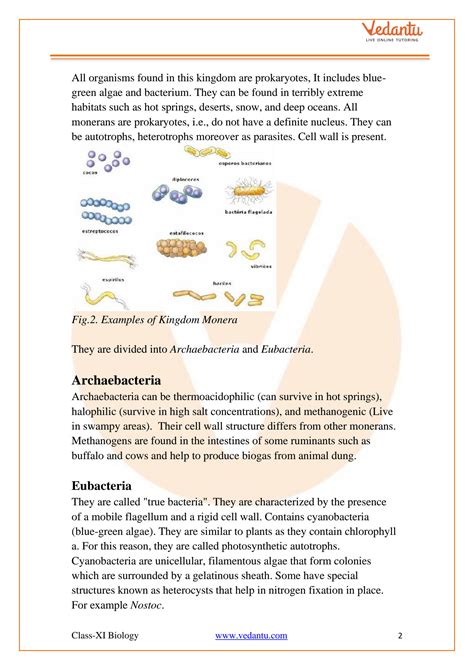 SOLUTION Biological Classification Class 11 Notes Cbse Biology Chapter