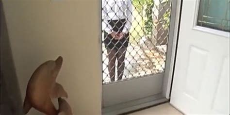 Free JPN Porn Videos Sex Movies TNAFLIX