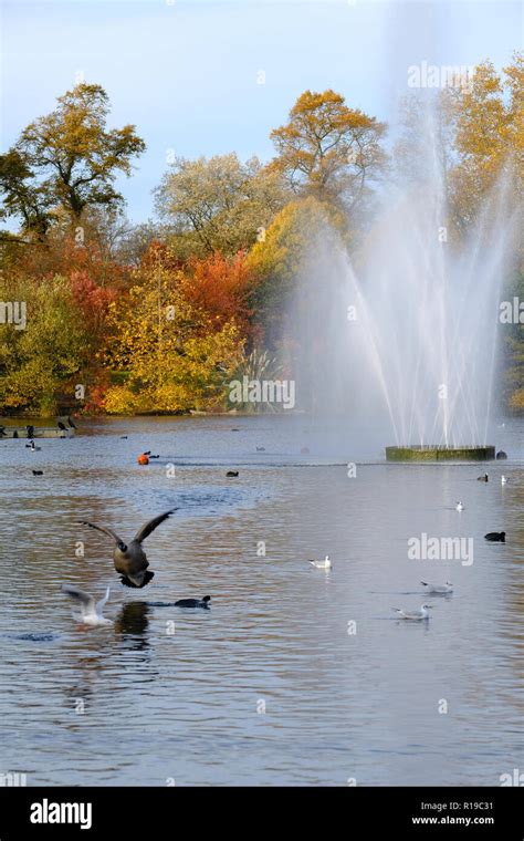 Autumn In Victoria Park Hackney London United Kingdom Stock Photo