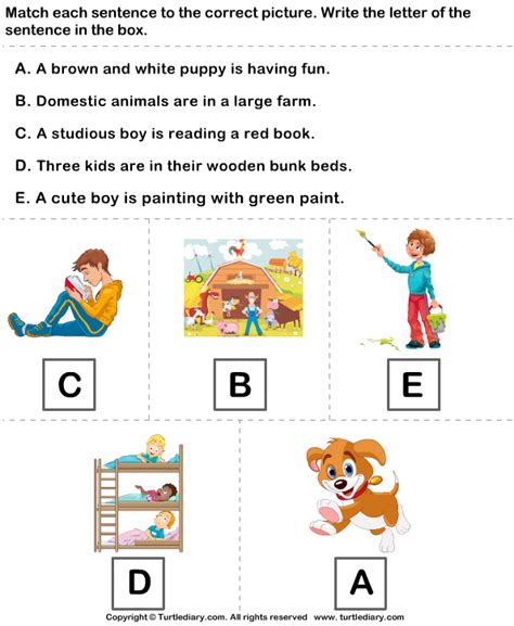 Identifying Topic Sentence Exercises