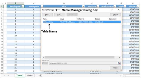 Table Name In Excel - MEGATEK ICT ACADEMY