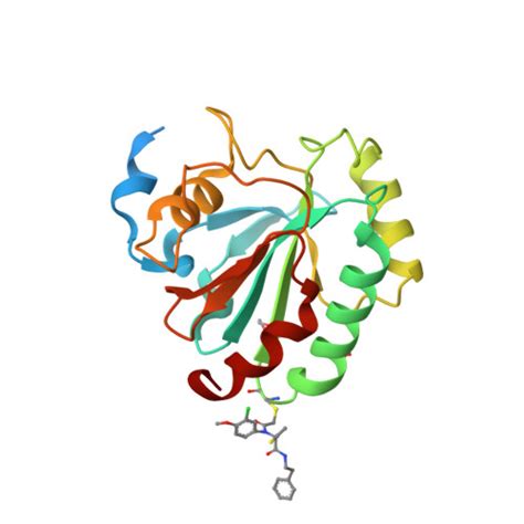 Rcsb Pdb U K Crystal Structure Of Human Gpx U C R H In Complex