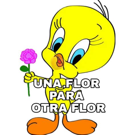 Sticker Maker Piolin Frases Positivas