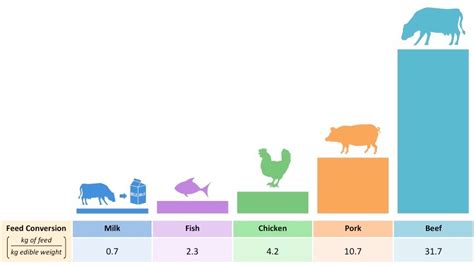 Feed Conversion Ratio Bioninja