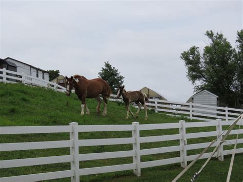 Attractions / Campbell County, Kentucky