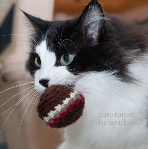 Catnip Cat Toys All Proceeds Donated - Etsy