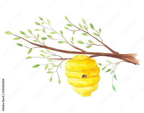 Hive On A Branch Of A Tree Isolated On A White Background Watercolor