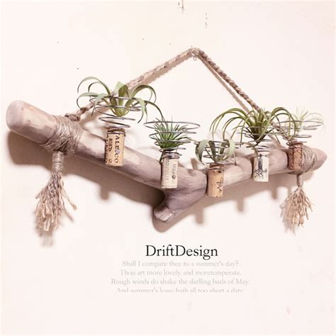 〜drift Design〜 キレイめ味わい流木のお洒落な5連コルクホルダー エアプランツ 造花 植物 インテリア 一輪挿し・花瓶・花器