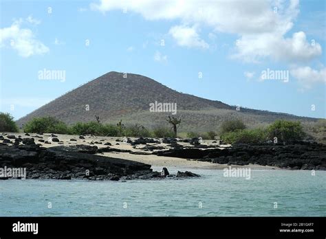 Volcanic Landscape Ecuador Galapagos Islands Stock Photo Alamy