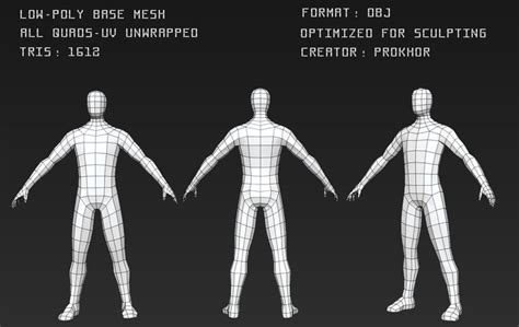 Low Poly Base Mesh Low Poly Poly Topology