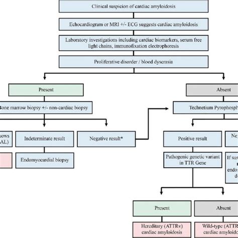 Pdf Amyloid Transthyretin Cardiac Amyloidosis Diagnosis And Management