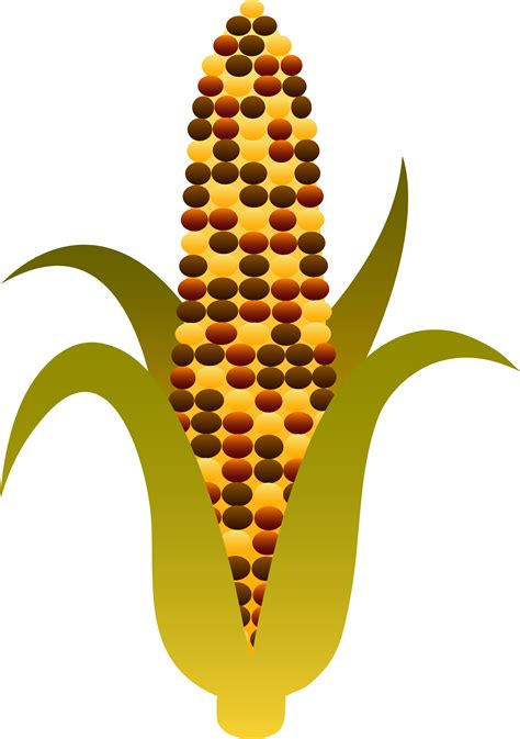 Free Corn Stalk Clipart Download Free Corn Stalk Clipart Png Images Free Cliparts On Clipart